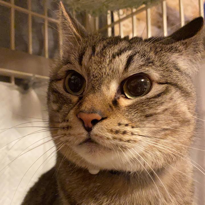 407cb894 2871 48fd b770 947ce402c54f 1644567980526