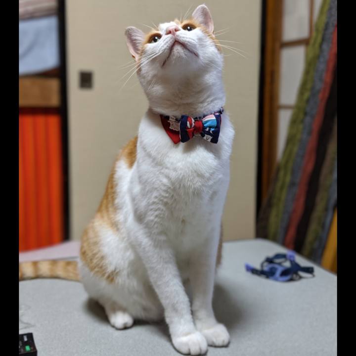 407ccb3c 6cbf 4a25 bb6f 8ef30bdcdd58 1565957141720