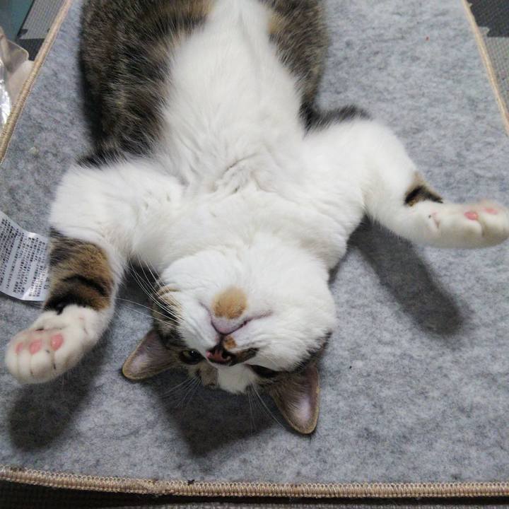 407cdcf0 c15e 4781 940a 19f5e5c2777c 1626782184396