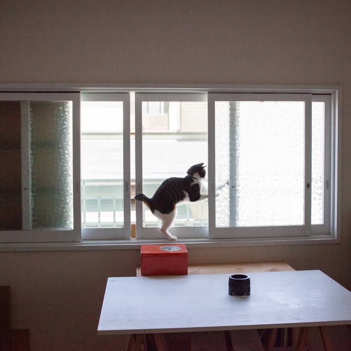 407cea4b 91aa 4535 a45b 30b88ed05bfa 1565659733396