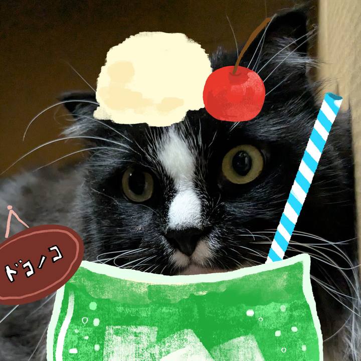 407cfeda 583a 4020 bbfc fb8b16b8b290 1755486707003