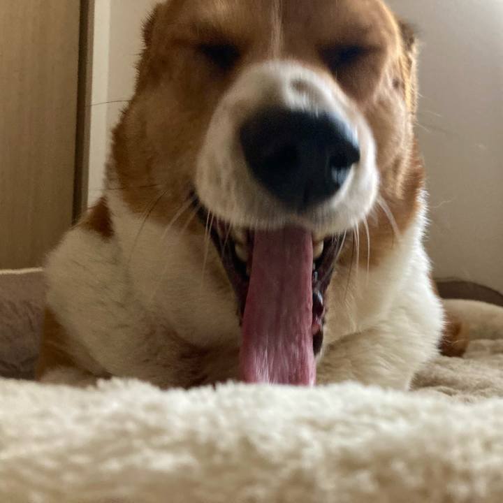 407d3090 55cf 4b3d ba91 7a159925a978 1730247114942