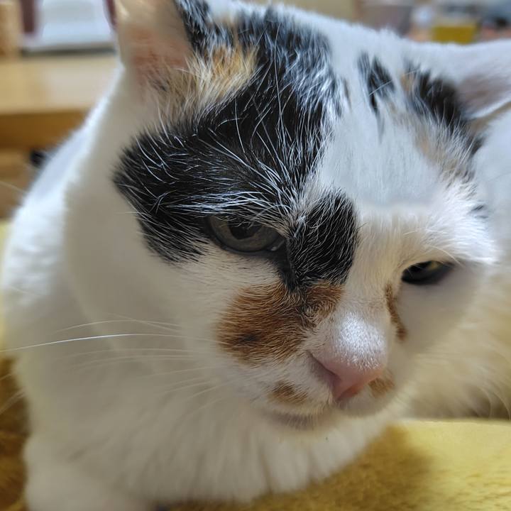 407d40c4 baa0 44dc b6db 5c2178560b47 1745586946106