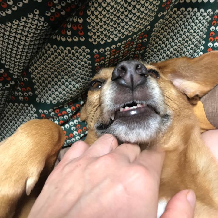 407d42b9 6716 45ab af4e 3aed1744b0b8 1547820226114