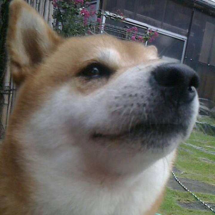 407d4a18 3c80 4883 820f 6a0efad40cd3 1567246879402