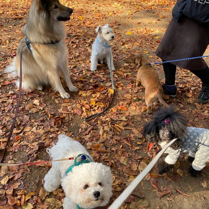 407d5f6c 838d 49d3 8d16 4450aab679ef 1668043600984