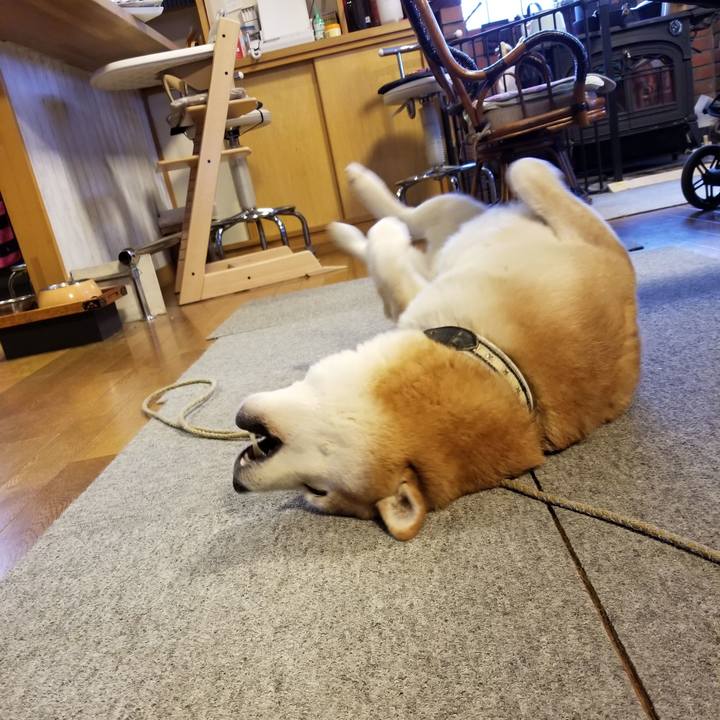 407d8538 5e4b 4a84 9eff 01dcf28a30a2 1641539512386