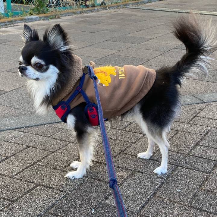 407d8cff 044b 4d0e aa0d b96ae0f981a3 1704640962709