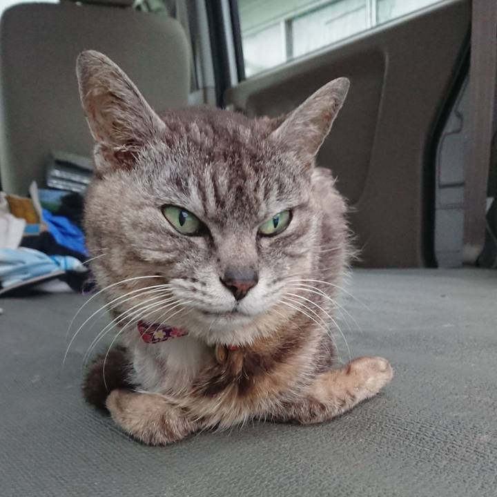 407d956c 38c2 4508 80fe b9900a4eb79b 1593769953790