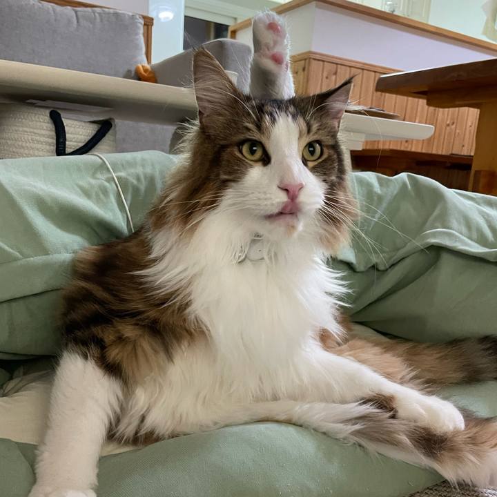 407d964b b399 4afa acd1 5d443ec9b601 1667420512321