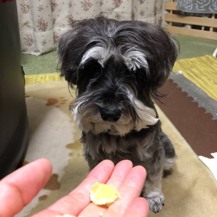 407d9b32 9f23 48a6 8d8c ffc0e41d5c53 1521805749067