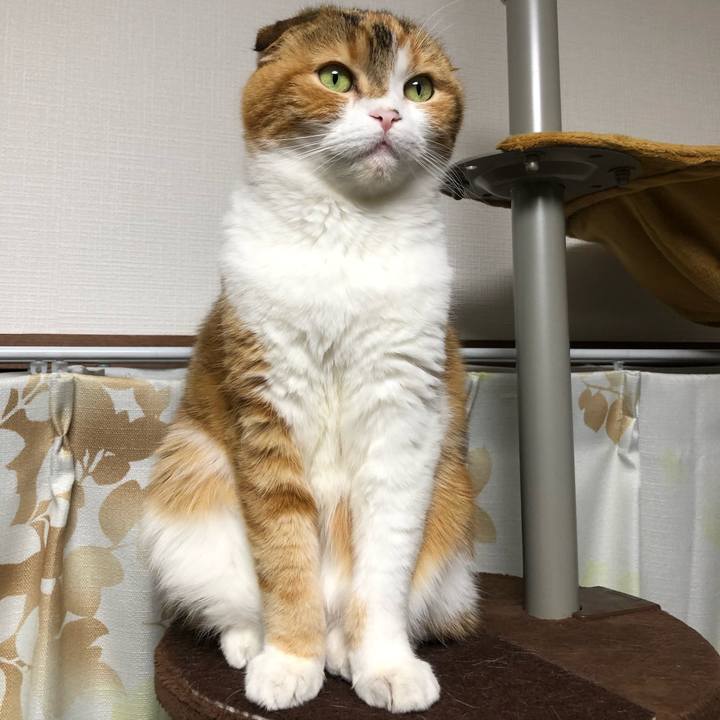 407dc60d efdd 41ac 92c6 77507765c49e 1619272985030