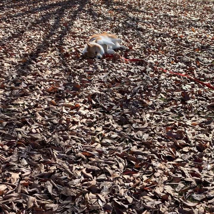 407dd10d f824 4961 a686 e57e459592f8 1669285776967