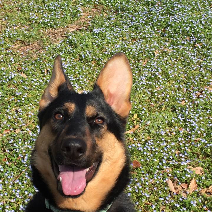 407de2e3 ed4f 45e4 b996 9b8d8e942a7d 1520927355356