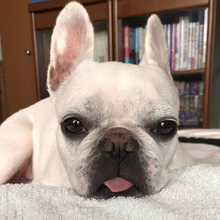 407de80d 504f 47bc 8526 f783a290d5bd 1626170144702