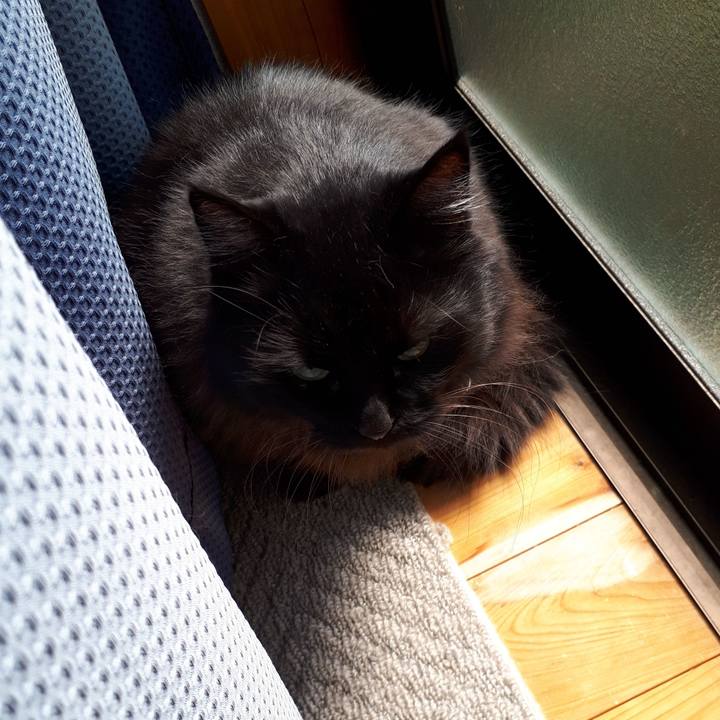 407dfca2 27c4 4c29 9558 7a50664e9a17 1520733776889