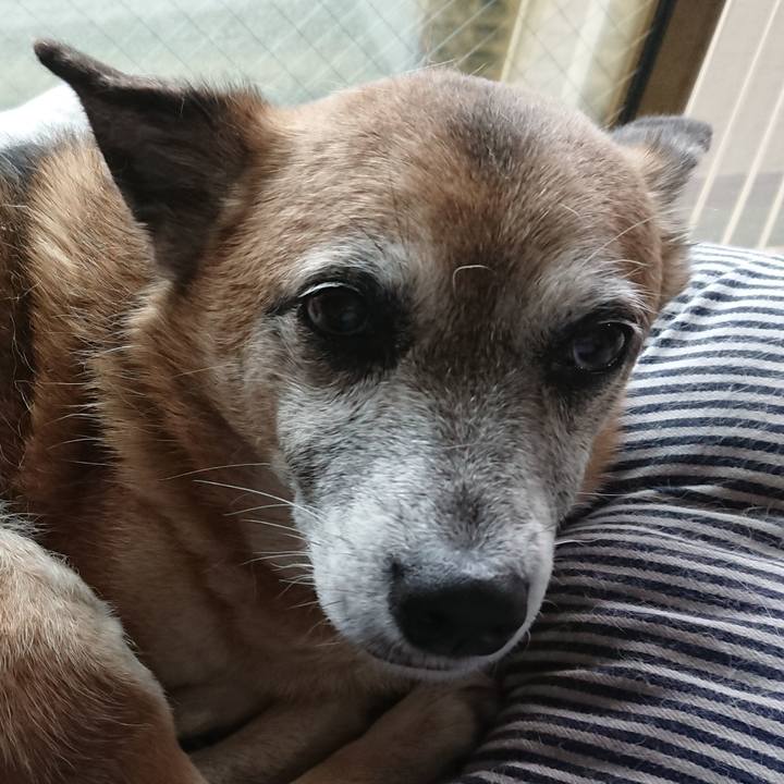 407e0c34 3c02 449f 9ec3 f20f61e2ef8e 1534761273851