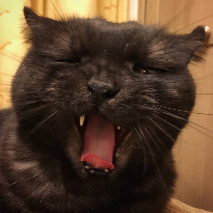 407e32f1 5008 4184 aee6 61dfb999e5ba 1533659686517