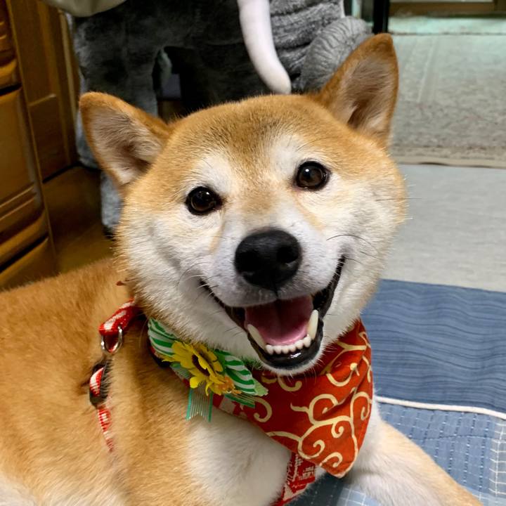 407e51f6 f4e3 4904 9831 a72a27c78d22 1565087382069