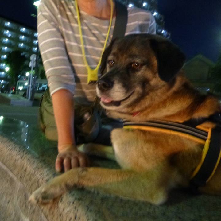 407e9d33 6cfd 4c2a be39 cda7f8ed66ca 1579912797458