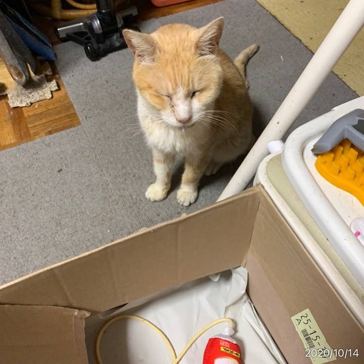 407e9e47 d495 409a 9ec6 e9db51fbb86a 1602682000404