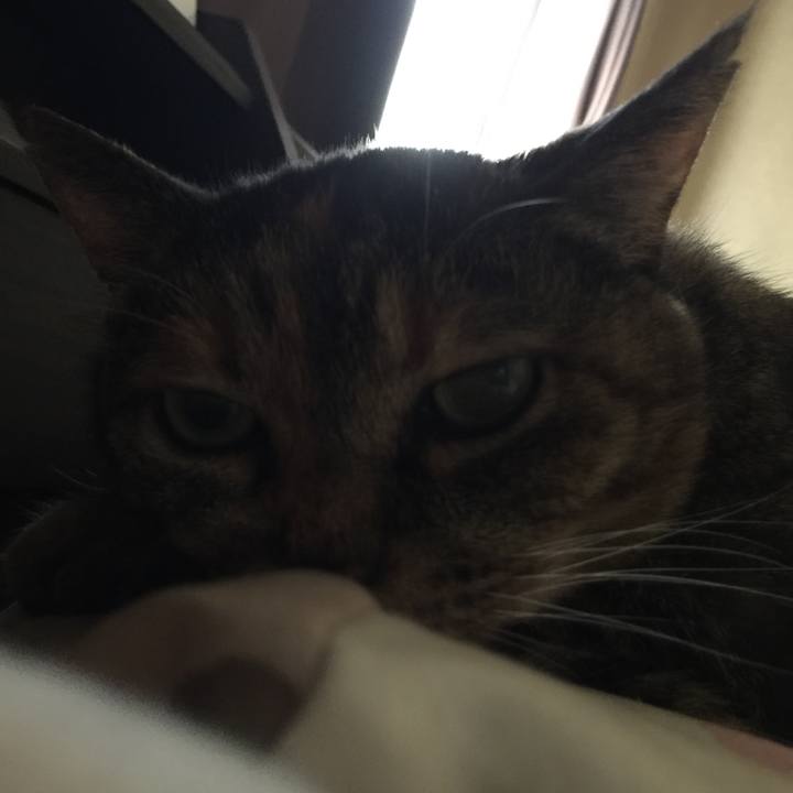 407f0a6d f8a8 443b b584 0a0fceae6ff4 1529794601410