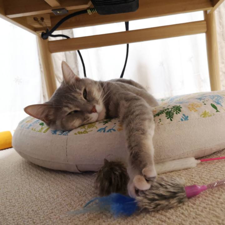 407f0b1a 8e6d 4cf1 9d2b 065a05ff4c7c 1591106234110