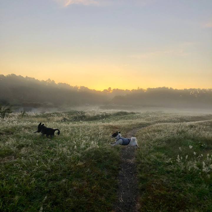 407f25c0 4648 42dd 8ec7 1d73d18ad006 1571780318014