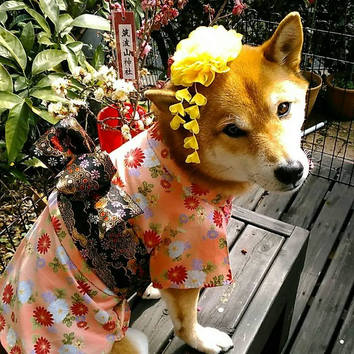 407f266d 2d27 40fc 83ea 545d33e11784 1551409822412