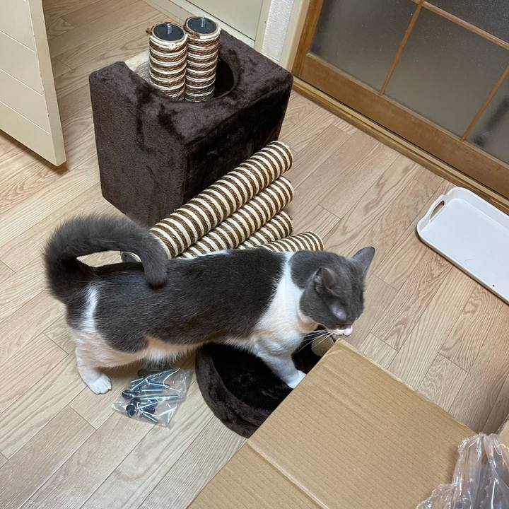 407f5516 5405 4a31 83a3 e91e755b5e1e 1663662302060