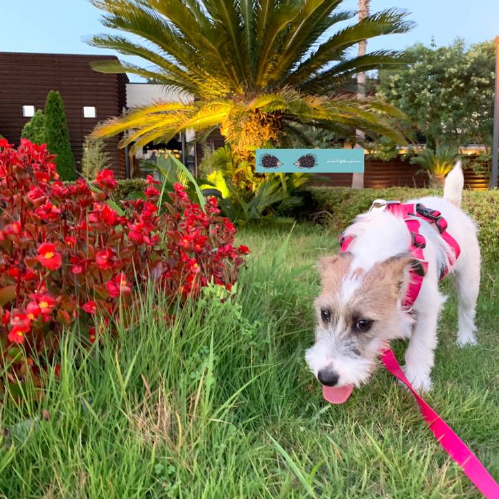 407f79fd 7e24 4f57 b95c 5987d5987aed 1567763806336