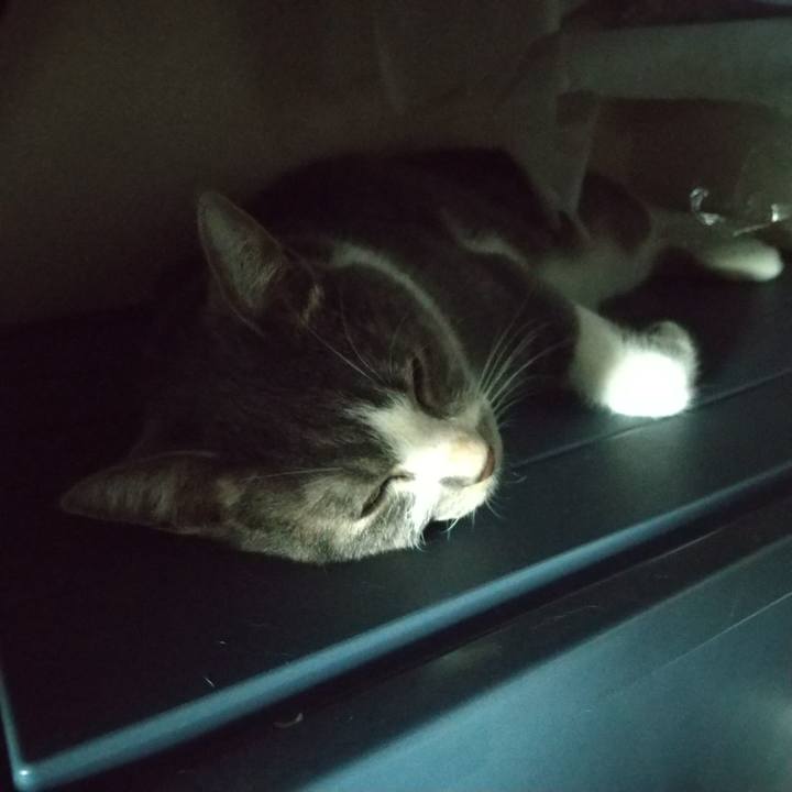 407f9fef d3e0 42aa 9374 be68958c42d5 1627002491026