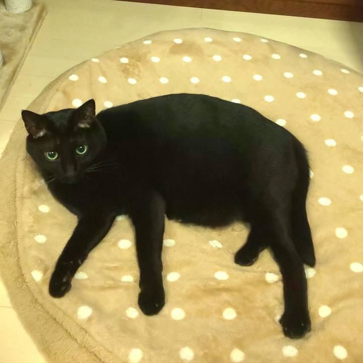 407fc8d2 301a 49ac b194 e753ff8dd006 1639786553528