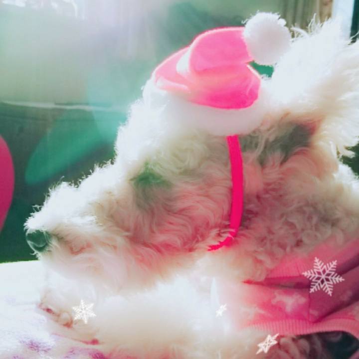 408002a1 7710 4c8b aa7e 9b66f8fce812 1513657399073