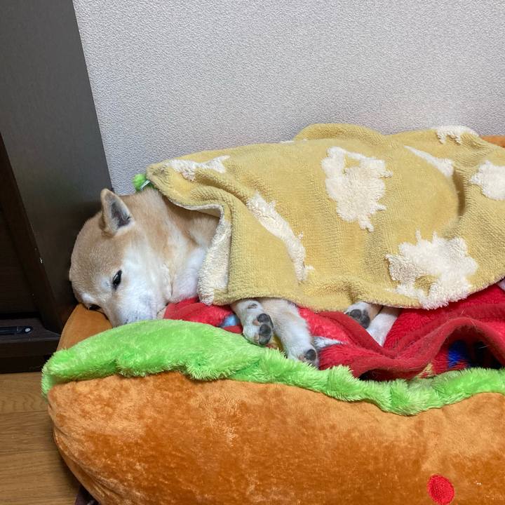 408014a7 cc0f 4a9b a68f cfc779810c27 1615290226637