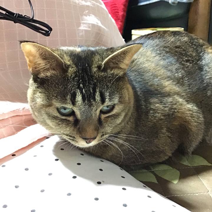 40803b3b 774b 484d 9ff5 69600f772091 1672406415338