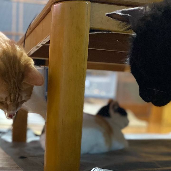 40805b0f 3012 4449 9827 5984618dc8fd 1653049363164