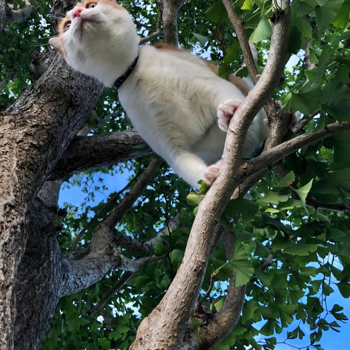 40806607 f46f 4a7c b0ef d53eb3e99947 1537948618097