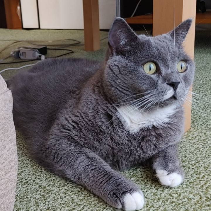 40808351 71ba 4327 8591 7db6165682b6 1665384406787