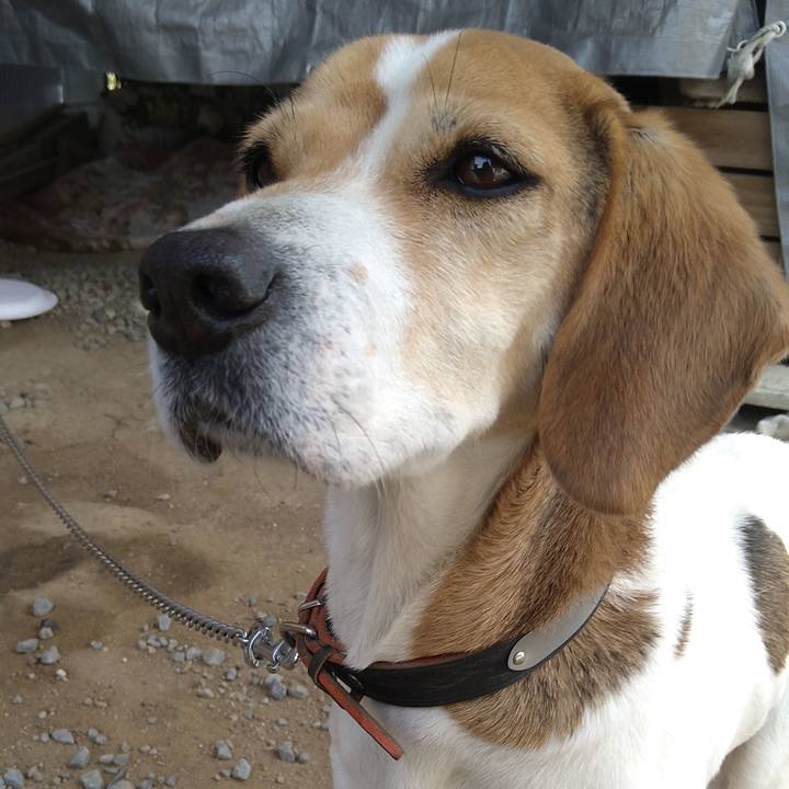 40812c0b 318e 4fdb a12d 5ddde85b82eb 1646452349283