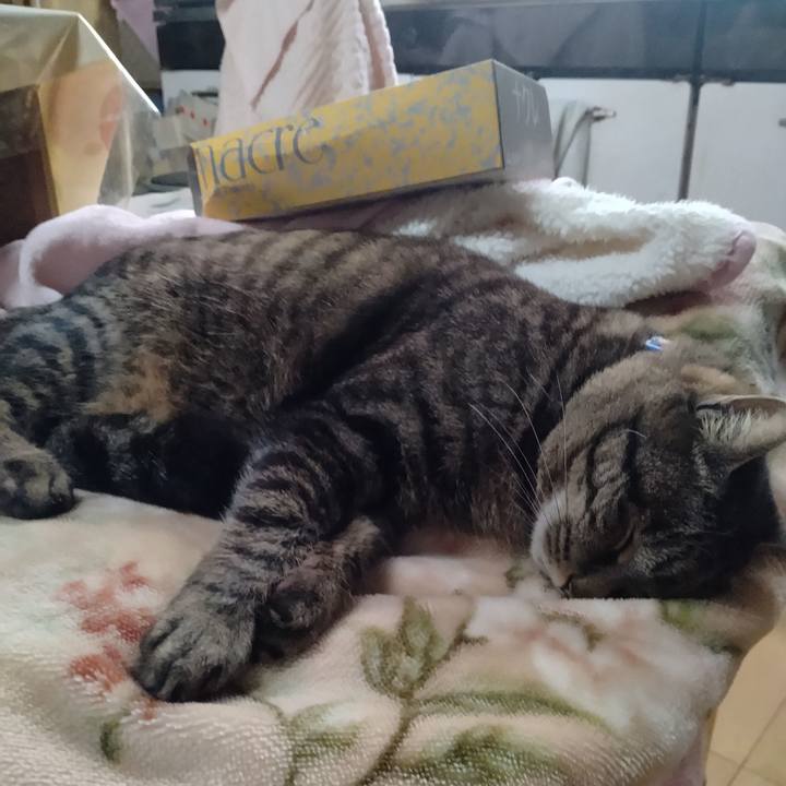 408149a7 8833 4cee 95ad f61bd25dce2b 1676676915210