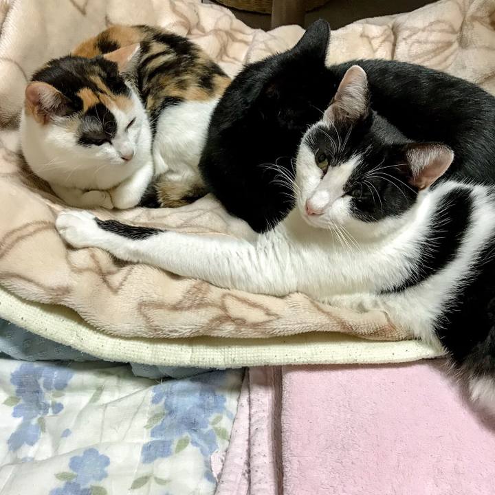 40814c66 fee3 4cf8 98c9 31630d416ff1 1509710229459