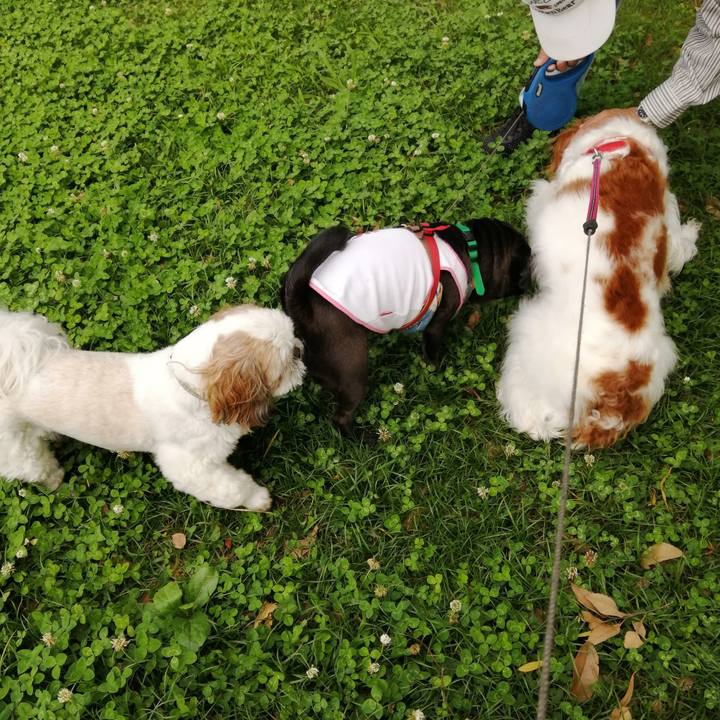 4081a5cb bd2f 4ca3 b758 c841ec2c9b7b 1593143855799