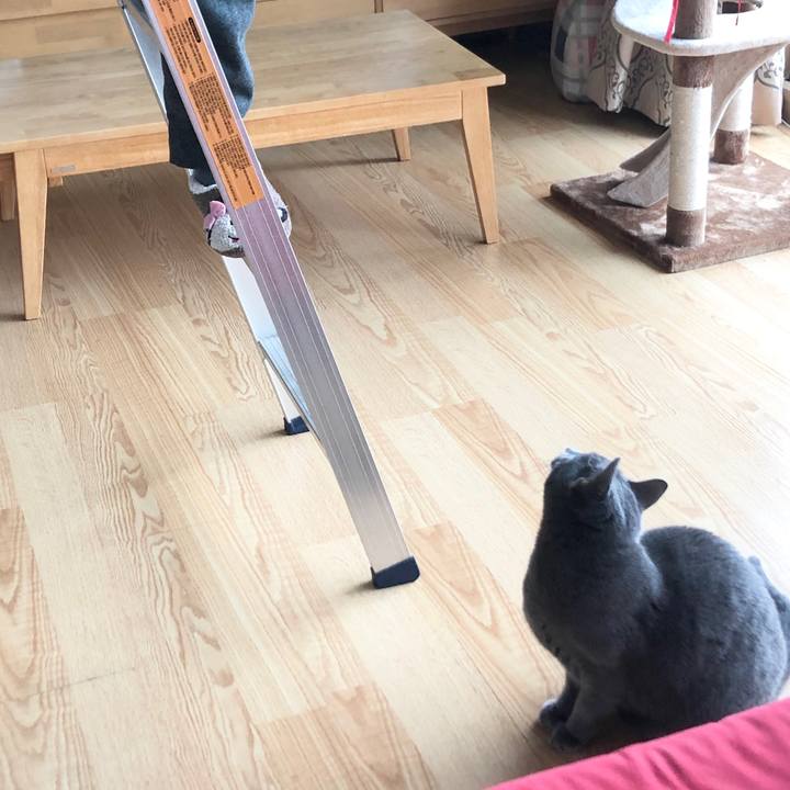 4081c5fd c0fd 4818 9cc9 0570ca2e7fab 1577595743840