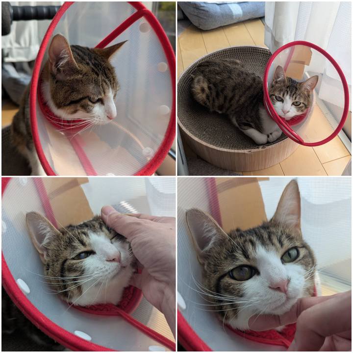 4081c748 2603 40e4 a87e 7c3e220da567 1743246479791