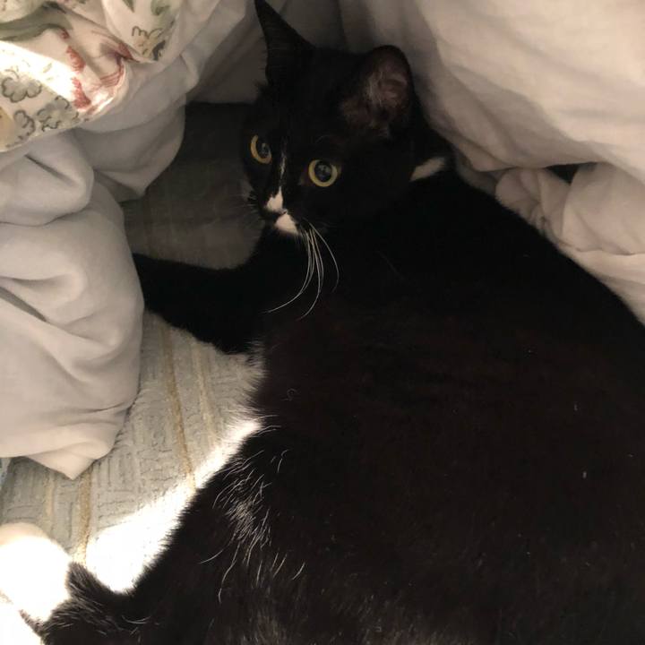 4081eaae 4e45 4a52 9113 c8a7402f2541 1527197781725