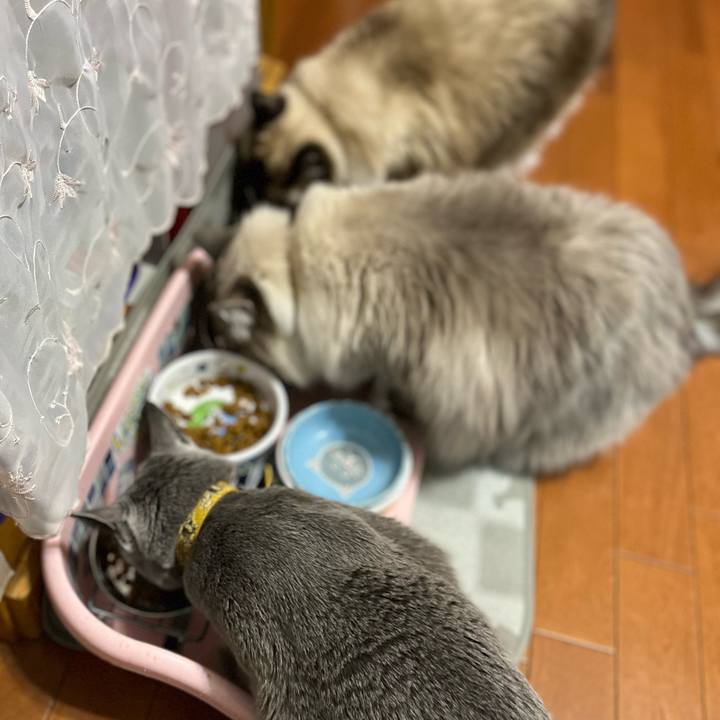 4082034b 05e9 40e8 a699 6cfc43e82fed 1642511480484