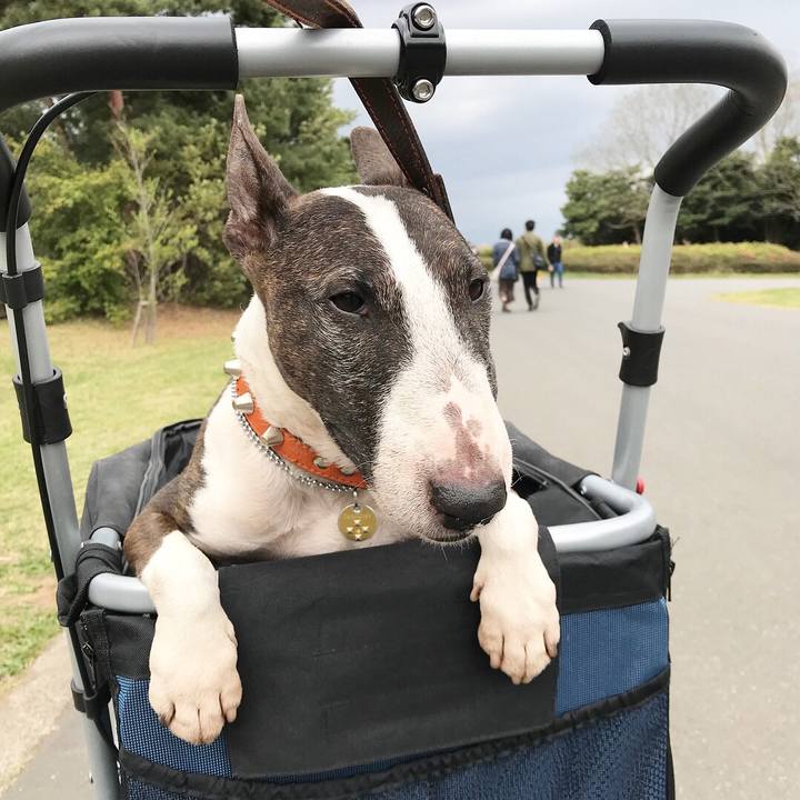 40822e69 979a 47e8 8089 acefcf93405a 1523755429953