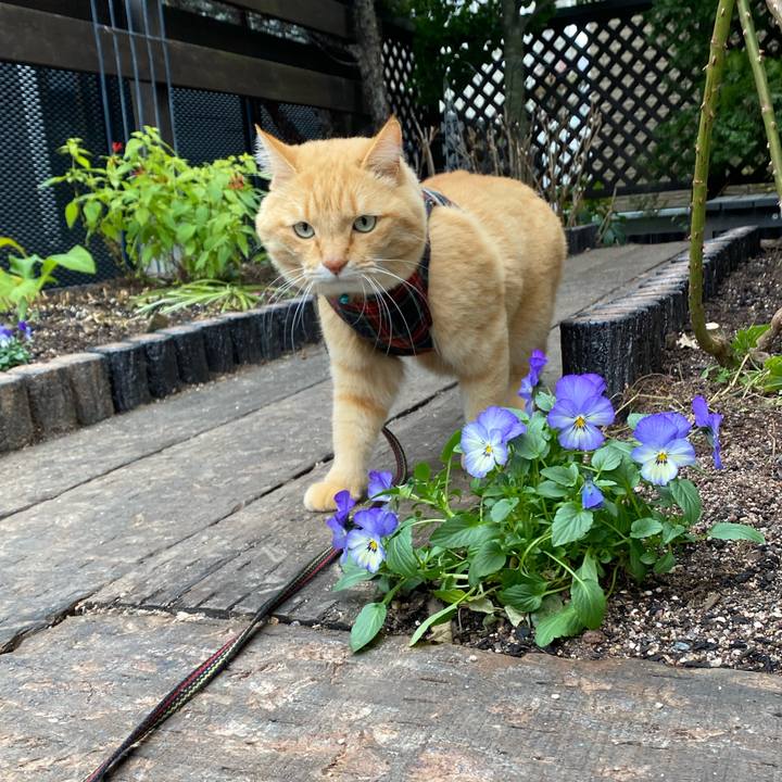 40823ee2 46d2 4ffc b8db b0d3b1440df8 1607661370614