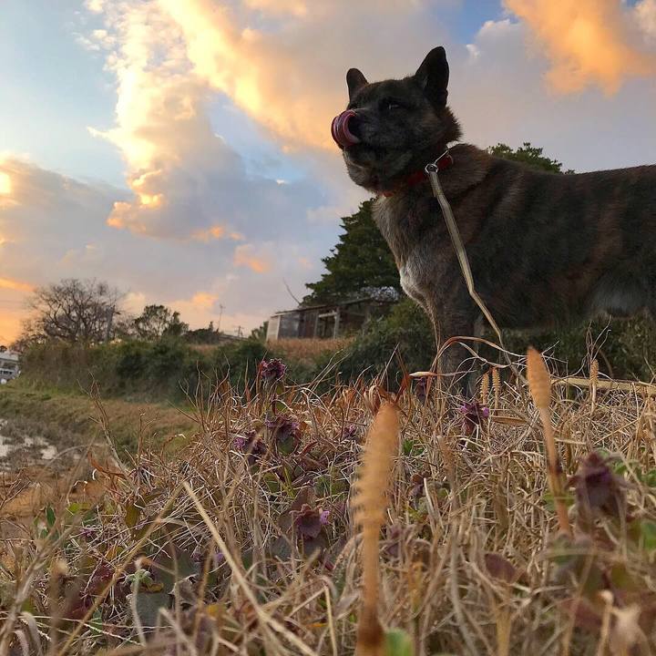 40826577 f841 4df1 bd95 c76ee7c98577 1552563125455